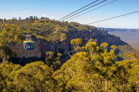 Blue Mountains Nature And Wildlife Day Tour From Sydney - Accommodation Mermaid Beach 38