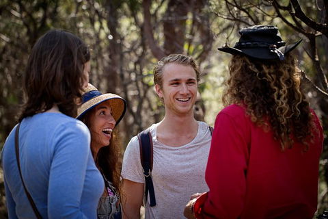Blue Mountains Nature And Wildlife Day Tour From Sydney - Accommodation Mermaid Beach 37
