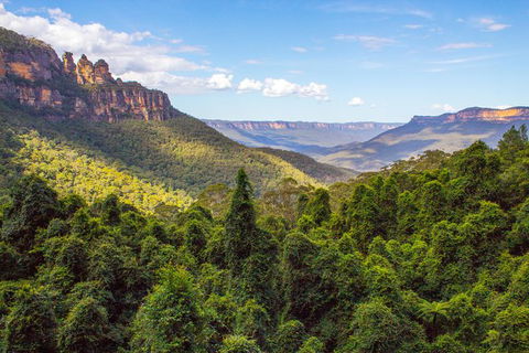 Blue Mountains Nature And Wildlife Day Tour From Sydney - Accommodation Mermaid Beach 32