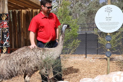 Blue Mountains Nature And Wildlife Day Tour From Sydney - Accommodation Mermaid Beach 29