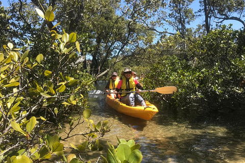 Paddle In Paradise - 4 Hours Double Kayak Hire - Accommodation Mermaid Beach 1