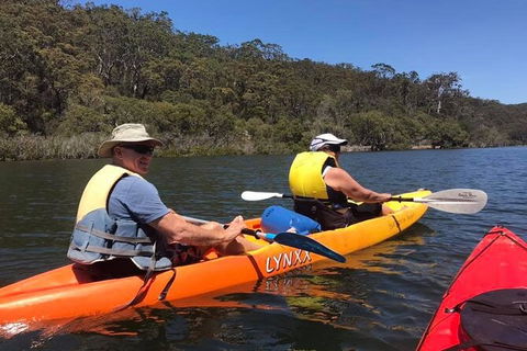 Paddle In Paradise - 4 Hours Double Kayak Hire - Accommodation Mermaid Beach 4
