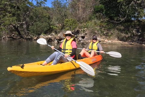 Paddle In Paradise - 4 Hours Double Kayak Hire - Accommodation Mermaid Beach 6