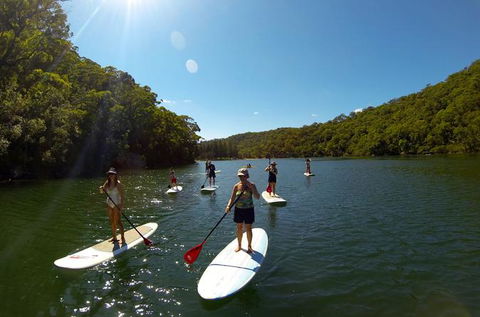 Basin Stand Up Paddle Boarding (SUP) Safari - Accommodation Mermaid Beach 0