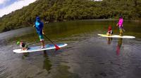 Basin Stand Up Paddle Boarding (SUP) Safari - Accommodation Mermaid Beach 1
