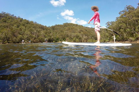 Basin Stand Up Paddle Boarding (SUP) Safari - Accommodation Mermaid Beach 3