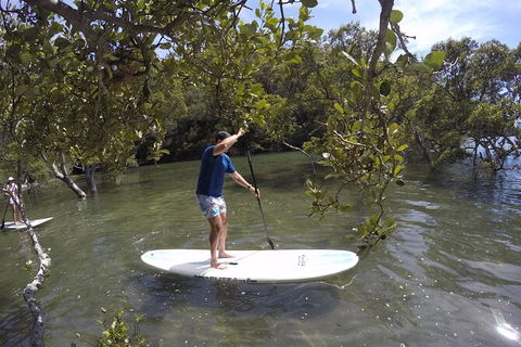 Basin Stand Up Paddle Boarding (SUP) Safari - Accommodation Mermaid Beach 2