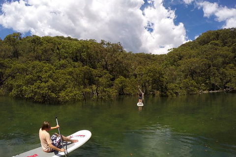 Basin Stand Up Paddle Boarding (SUP) Safari - Accommodation Mermaid Beach 7