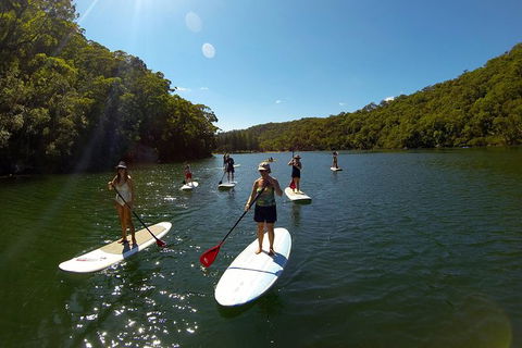 Basin Stand Up Paddle Boarding (SUP) Safari - Accommodation Mermaid Beach 4