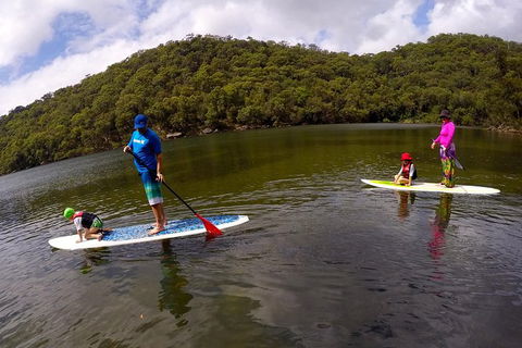 Basin Stand Up Paddle Boarding (SUP) Safari - Accommodation Mermaid Beach 6