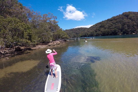 Basin Stand Up Paddle Boarding (SUP) Safari - Accommodation Mermaid Beach 5