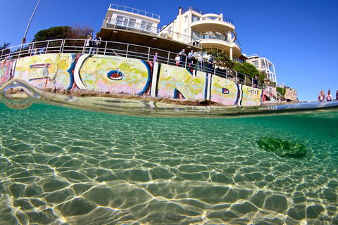 Bondi Like A Local: Half-Day Sightseeing Tour Including Surf Lesson - Accommodation Mermaid Beach 5