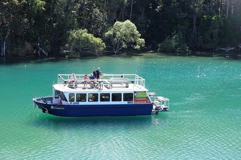 Brunswick Heads Rainforest Eco-Cruise - Accommodation Mermaid Beach 0