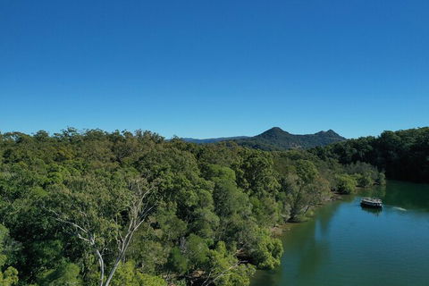 Brunswick Heads Rainforest Eco-Cruise - Accommodation Mermaid Beach 6