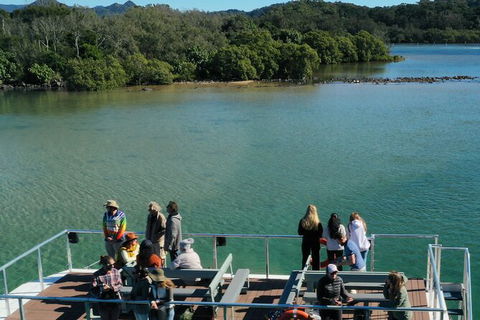 Brunswick Heads Rainforest Eco-Cruise - Accommodation Mermaid Beach 8