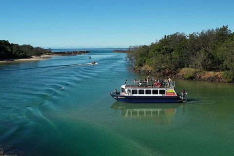 Brunswick Heads Rainforest Eco-Cruise - Accommodation Mermaid Beach 2