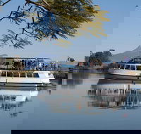Tweed River and Rainforest Eco Cruise - Accommodation Mermaid Beach