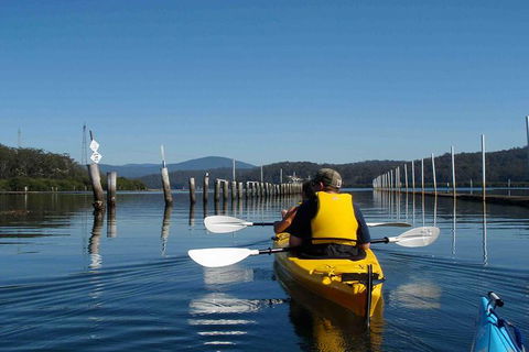 Batemans Bay Oyster Tasting Kayak Tour - Accommodation Mermaid Beach 0