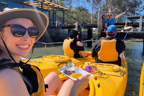 Batemans Bay Oyster Tasting Kayak Tour - Accommodation Mermaid Beach 6