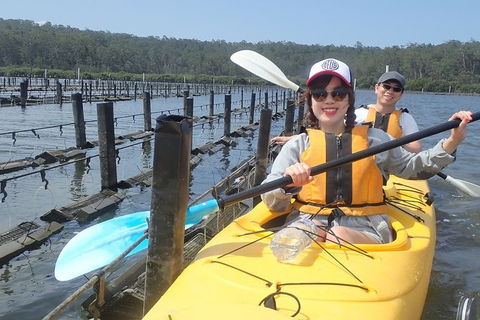 Batemans Bay Oyster Tasting Kayak Tour - Accommodation Mermaid Beach 5