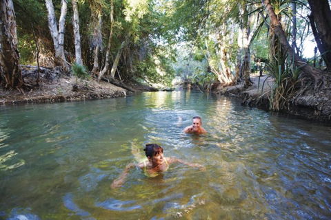 14 Day Dinos, Crocs And Gold - Accommodation Mermaid Beach 6
