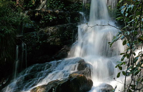 Bangalore Falls Walking Track - Accommodation Mermaid Beach 0