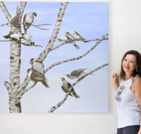 Bingara Gallery - Accommodation Mermaid Beach