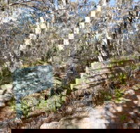 Cascades walking track and viewing platform - Accommodation Mermaid Beach