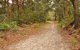 Daleys Point Walking Track - thumb 0