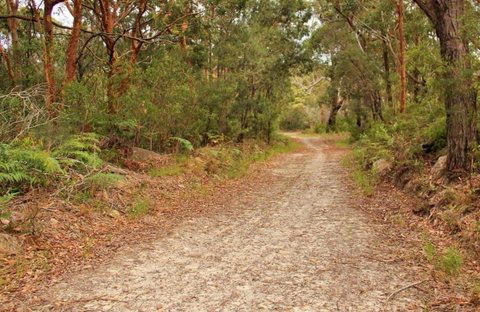 Daleys Point Walking Track - Accommodation Mermaid Beach 0
