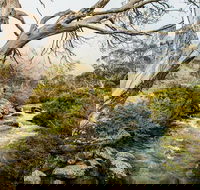 Dead Horse Gap walking track - Accommodation Mermaid Beach