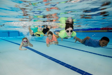 East Maitland Aquatic Centre - Accommodation Mermaid Beach 1