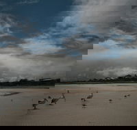 Hardwicke Bay - Accommodation Mermaid Beach