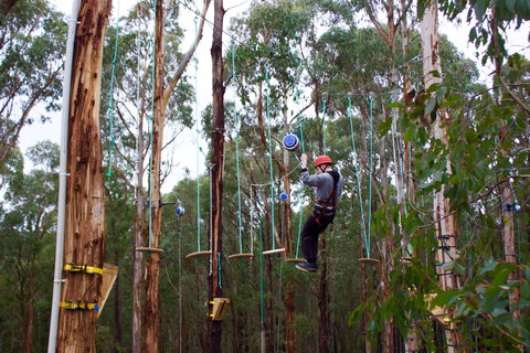 Kinglake Forest Adventures - Accommodation Mermaid Beach 0