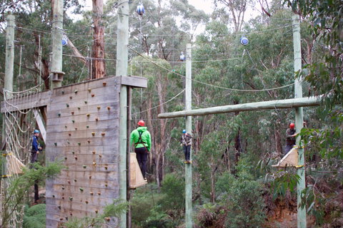 Kinglake Forest Adventures - Accommodation Mermaid Beach 1