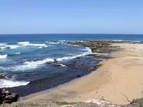 Little Shelley - Accommodation Mermaid Beach 0