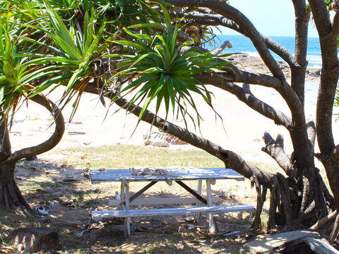 Little Shelley - Accommodation Mermaid Beach 2