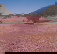 Meekatharra - Accommodation Mermaid Beach