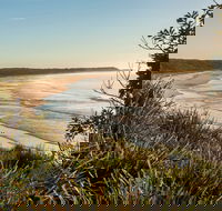 Murramarang National Park - Accommodation Mermaid Beach