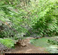 Pirianda Gardens - Accommodation Mermaid Beach