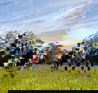 Port Macquarie Horse Riding Centre - Accommodation Mermaid Beach