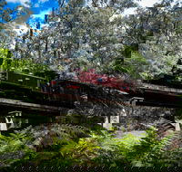 Puffing Billy Railway - Accommodation Mermaid Beach