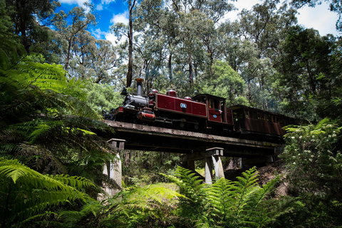 Puffing Billy Railway - Accommodation Mermaid Beach 0