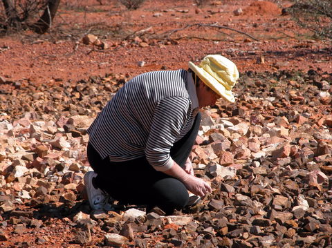 Quilpie Opal Fossicking - Accommodation Mermaid Beach 1