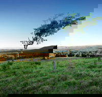 Ravensbourne National Park - Accommodation Mermaid Beach