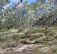 Reef Hills State Park - Accommodation Mermaid Beach