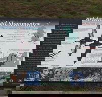 Settlement Point Viewing Platform - Accommodation Mermaid Beach