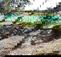Tactical Paintball Games - Accommodation Mermaid Beach