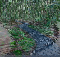 The Channon Protesters Falls Nimbin and Mount Nardi - Accommodation Mermaid Beach