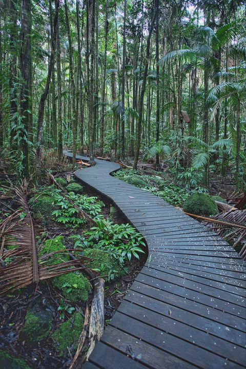 The Channon, Protesters Falls, Nimbin And Mount Nardi - Accommodation Mermaid Beach 0